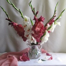 Гладиолусы