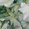 Предпросмотр схемы вышивки «Цветы» (№1915549)