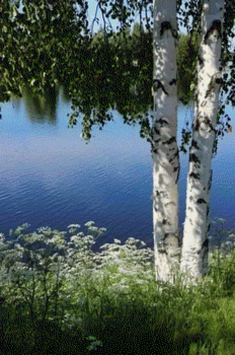 Одинокая береза - предпросмотр