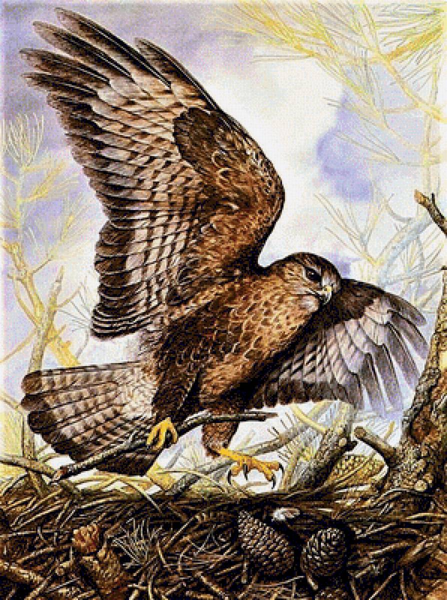 №1915889 - птицы - предпросмотр