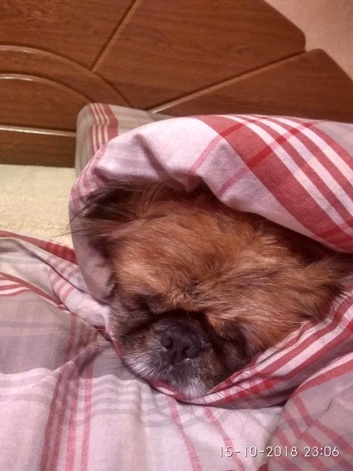 №1916041 - оригинал