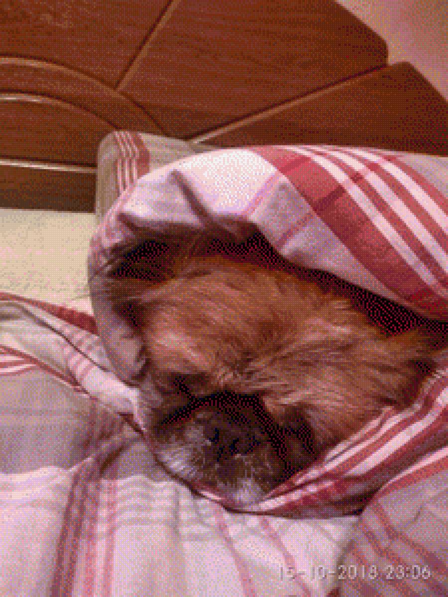 №1916041 - предпросмотр