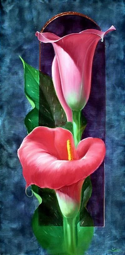 каллы - #каллы#цветы - оригинал