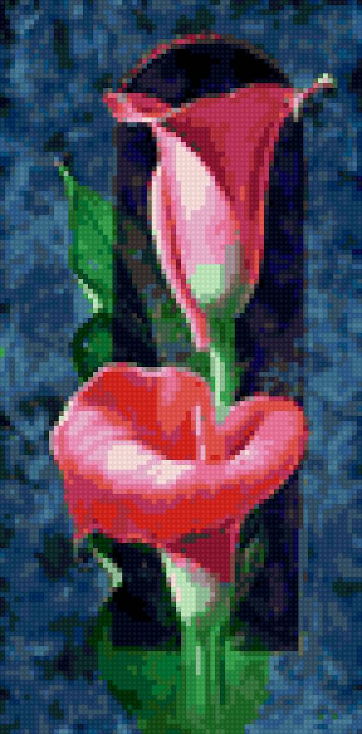 каллы - #каллы#цветы - предпросмотр