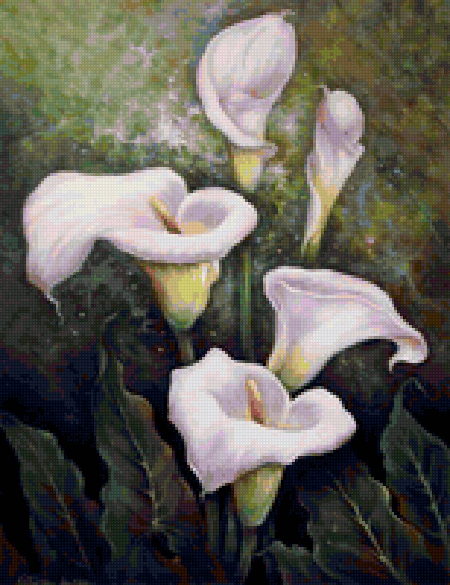 каллы - #каллы#цветы - предпросмотр