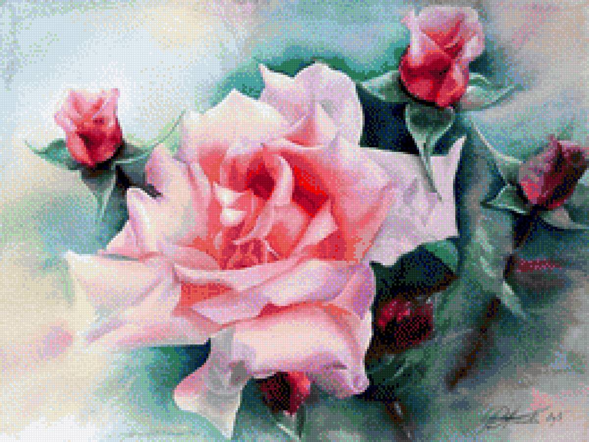 Роза - предпросмотр