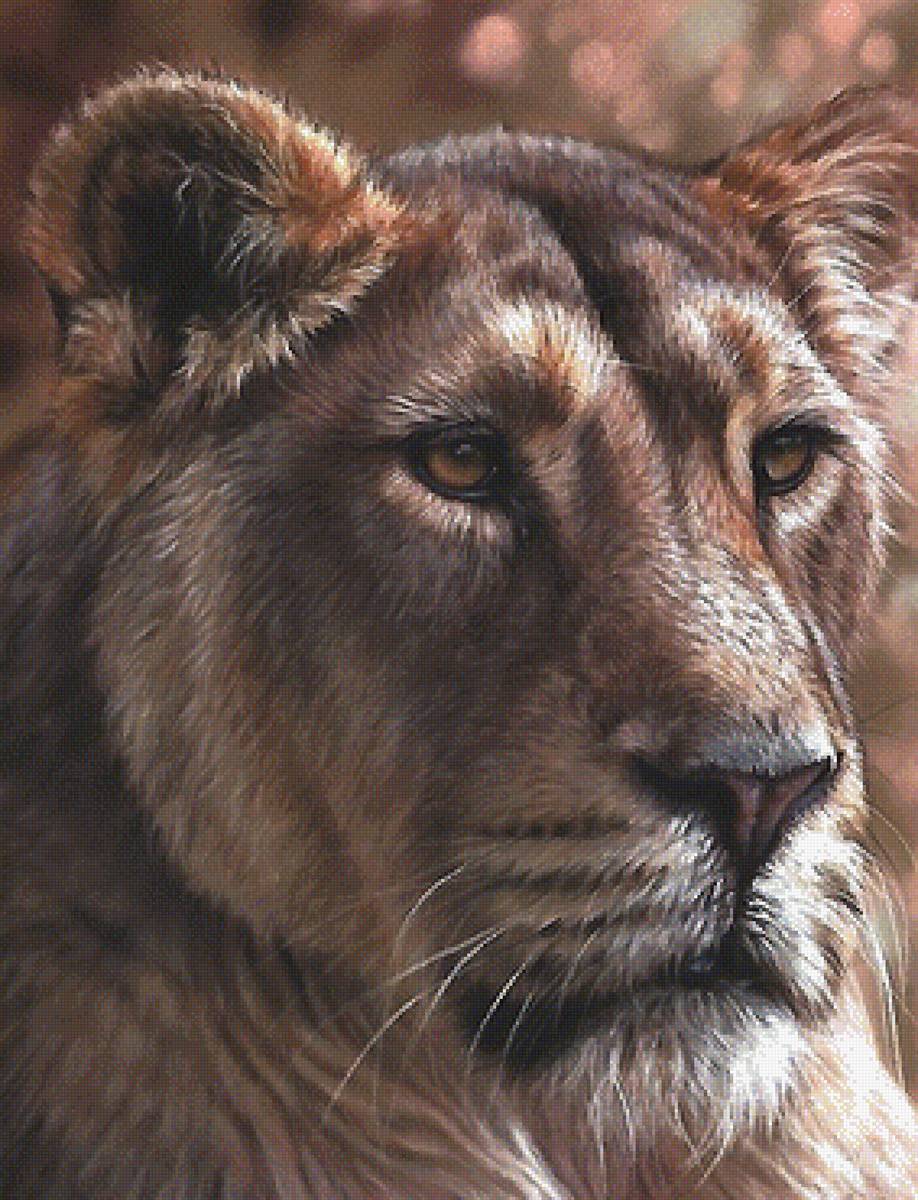 лев - мир животных - предпросмотр