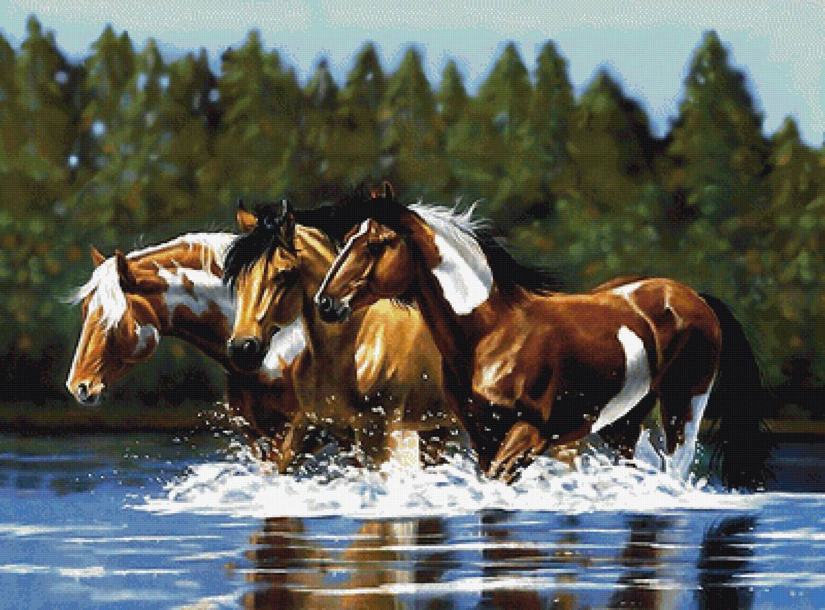 кони - мир животных - предпросмотр