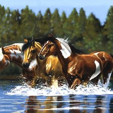 Схема вышивки «кони»