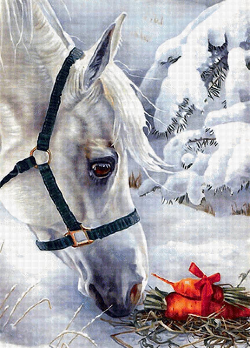 конь - мир животных - предпросмотр