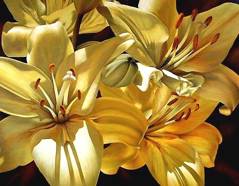 №1916787 - оригинал