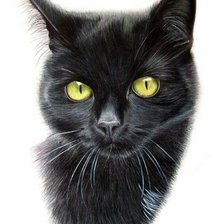 Схема вышивки «Жил да был за углом черный кот...»