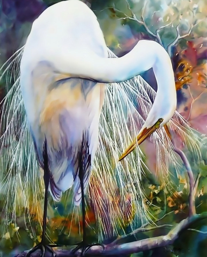 Белая цапля - белая цапля - оригинал