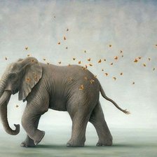 Схема вышивки «Elefante elephant»