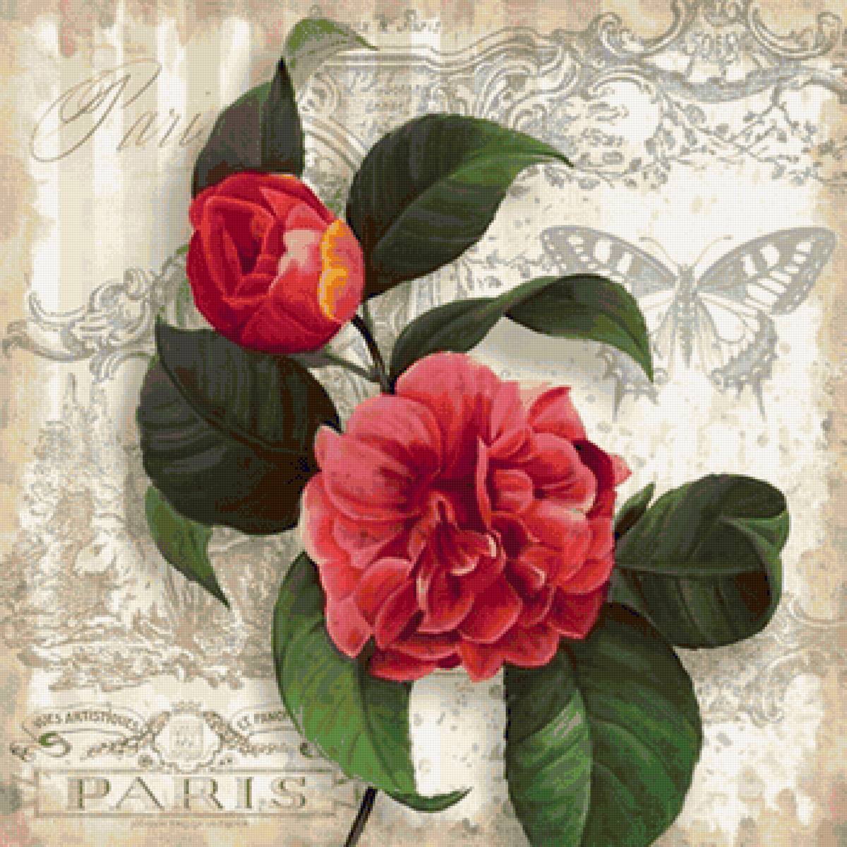 Цветок - рисунок, цветы, цветок - предпросмотр