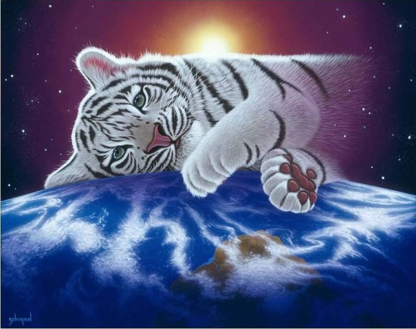 Тигренок - оригинал