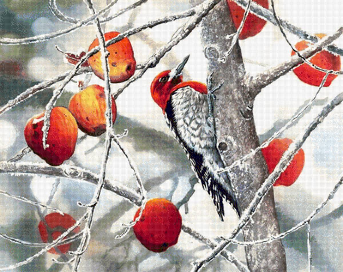 птица - предпросмотр