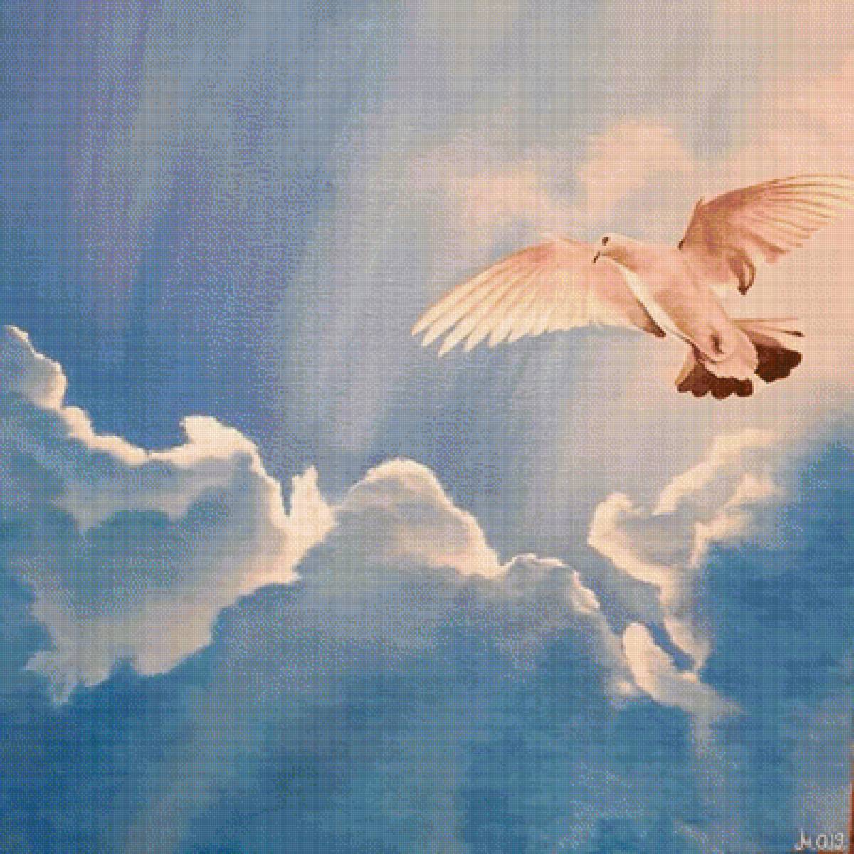 небо - небо - предпросмотр