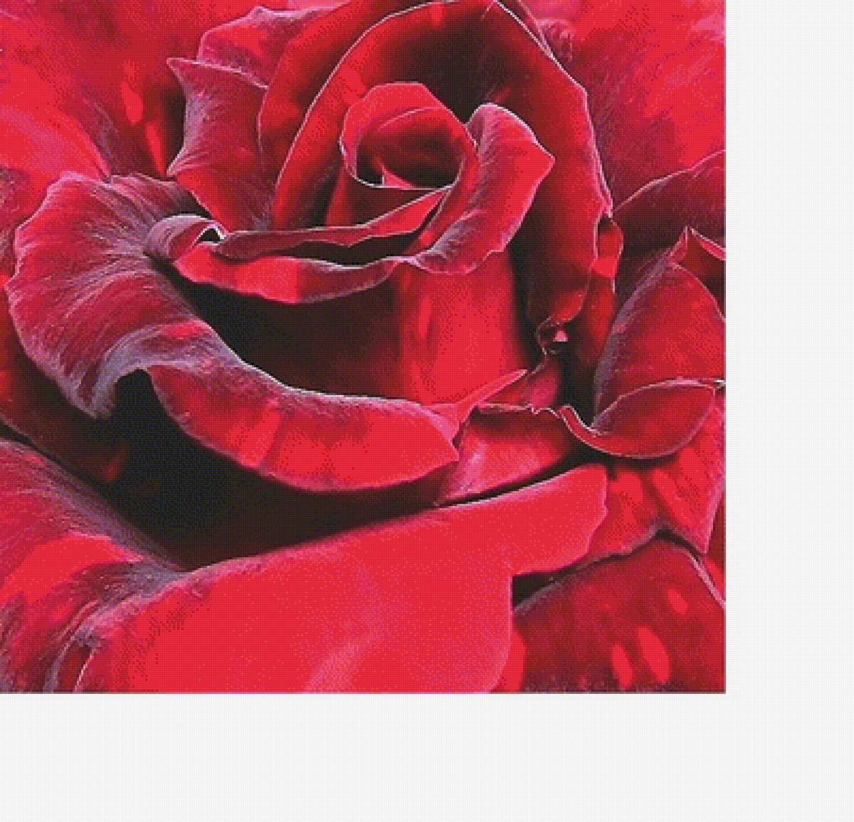 №1917464 - предпросмотр