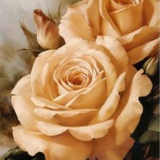 Схема вышивки «Троянда»