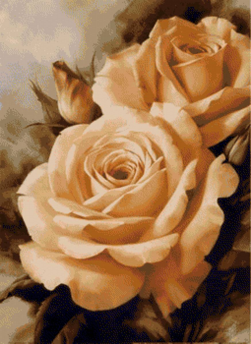 Троянда 1 - предпросмотр