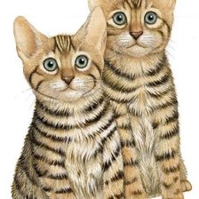Оригинал схемы вышивки «Gatti cats» (№1917587)