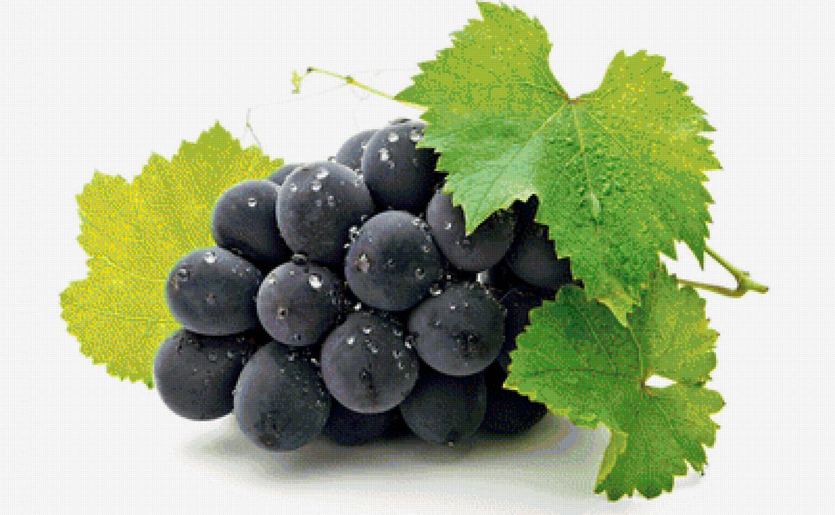 Виноград - фрукты, виноград - предпросмотр