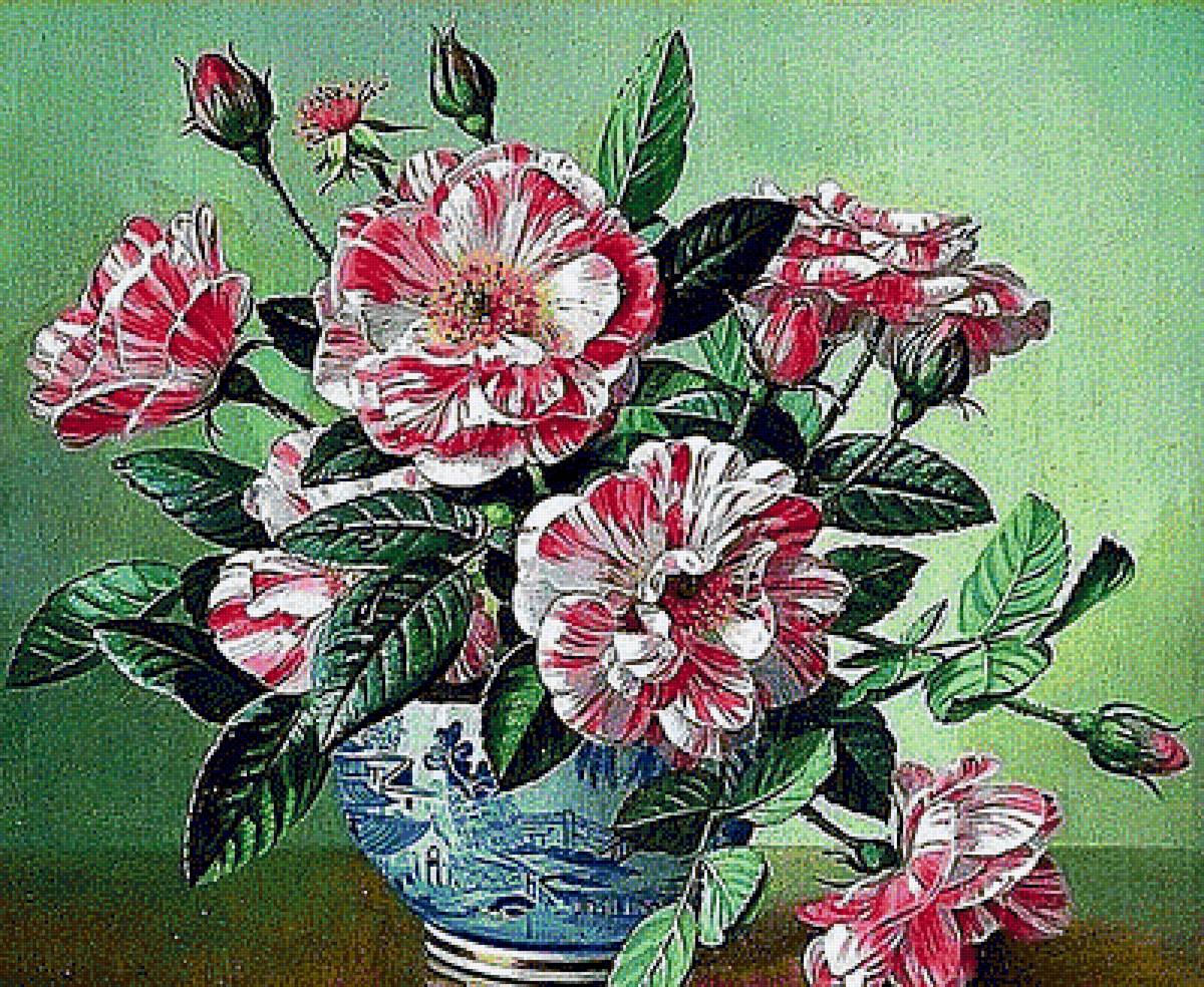 №1918240 - розы - предпросмотр