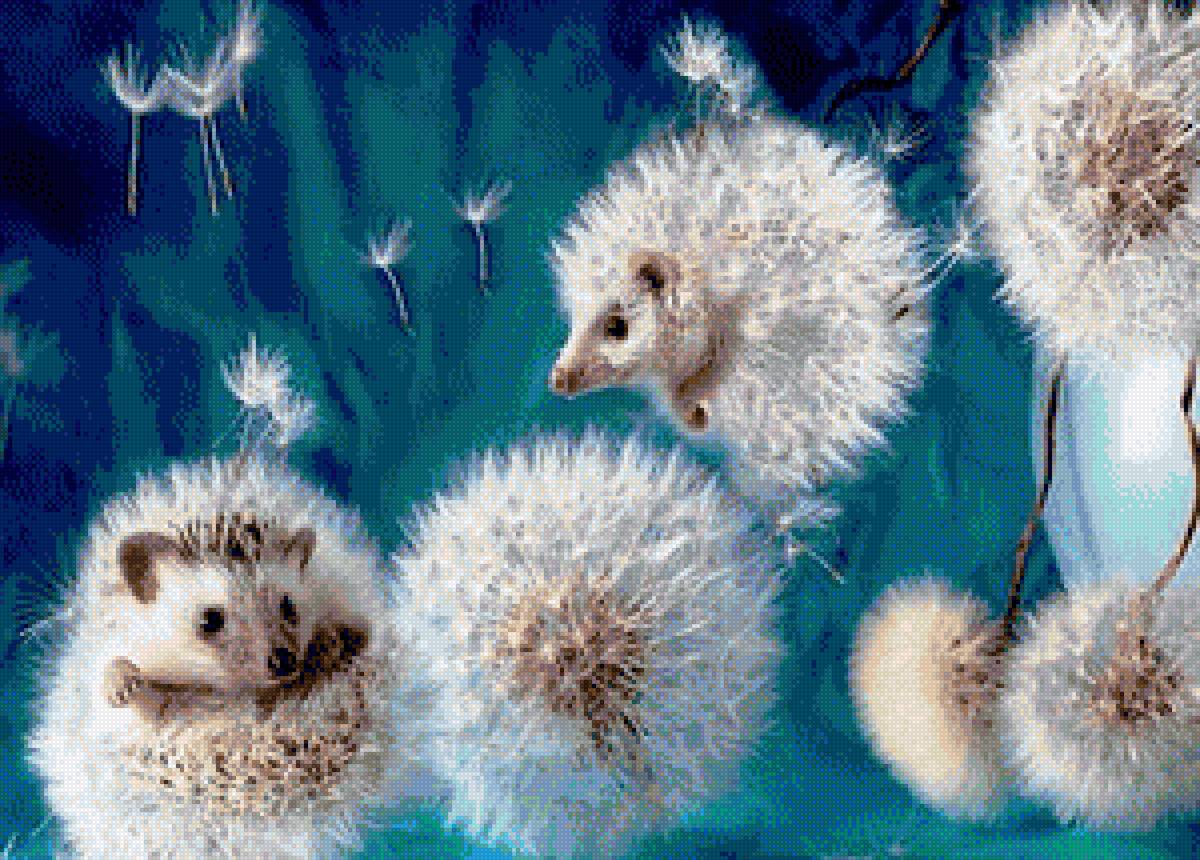 Ёжики-одуванчики - цветы, ежики, одуванчики - предпросмотр