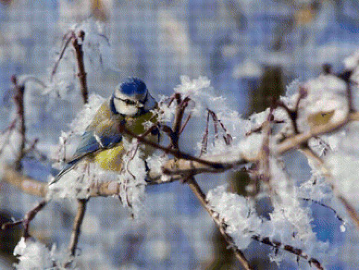 снігур - предпросмотр