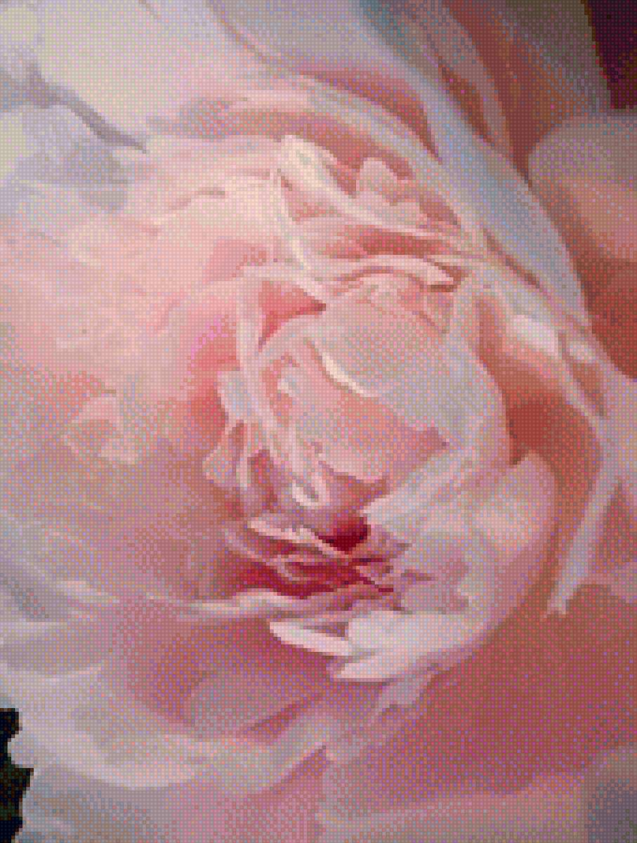 Пион - предпросмотр