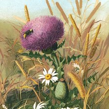 Оригинал схемы вышивки «№1918678»