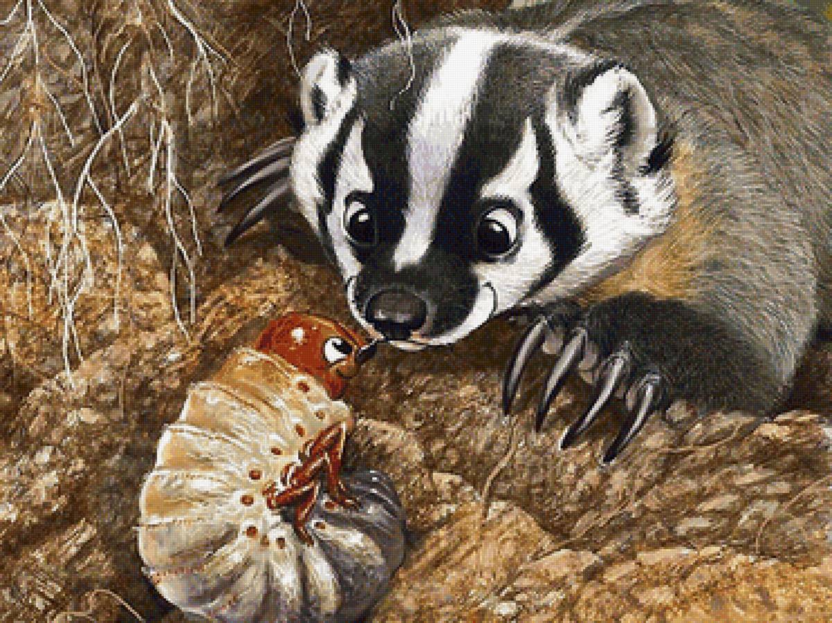 мир животных - мир животных - предпросмотр