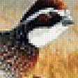 Предпросмотр схемы вышивки «птицы» (№1919103)
