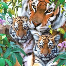 Схема вышивки «тигры»