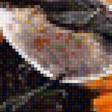 Предпросмотр схемы вышивки «№1919232»