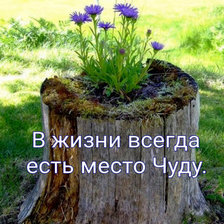 Схема вышивки «№1919430»