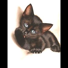 Оригинал схемы вышивки «котёнок» (№1919478)