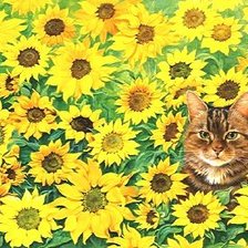 Схема вышивки «коты»