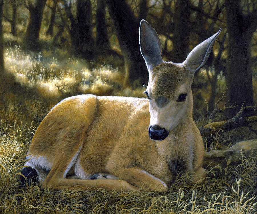 Оленёнок - лес, природа, олененок, рисунок, олень, животные - оригинал