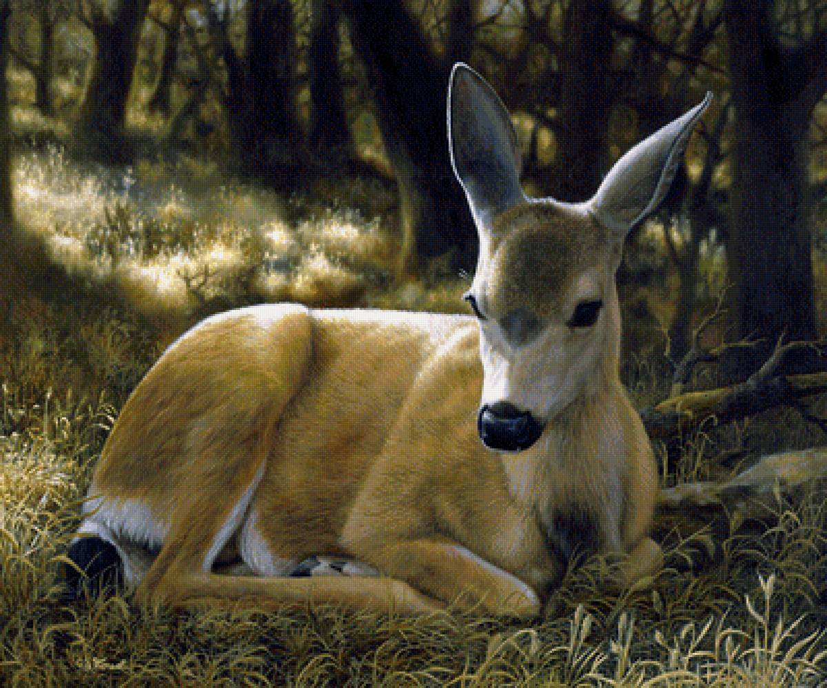 Оленёнок - лес, животные, олененок, рисунок, природа, олень - предпросмотр