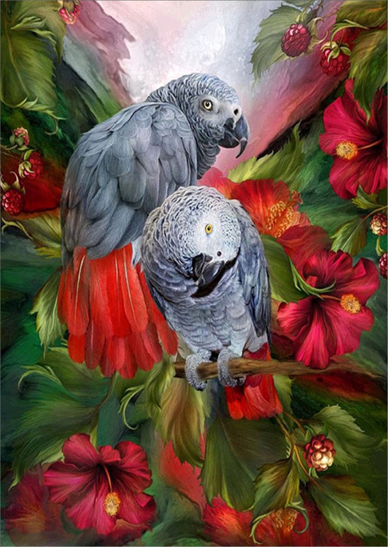Попугаи - попугаи цветы - оригинал