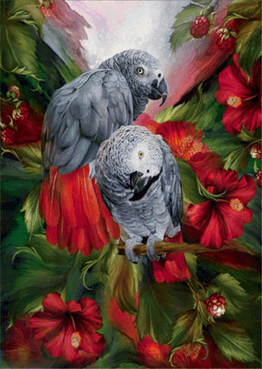 Попугаи - попугаи цветы - предпросмотр