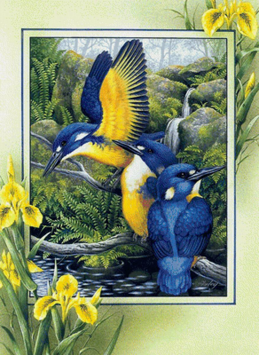 Птицы - птицы - предпросмотр