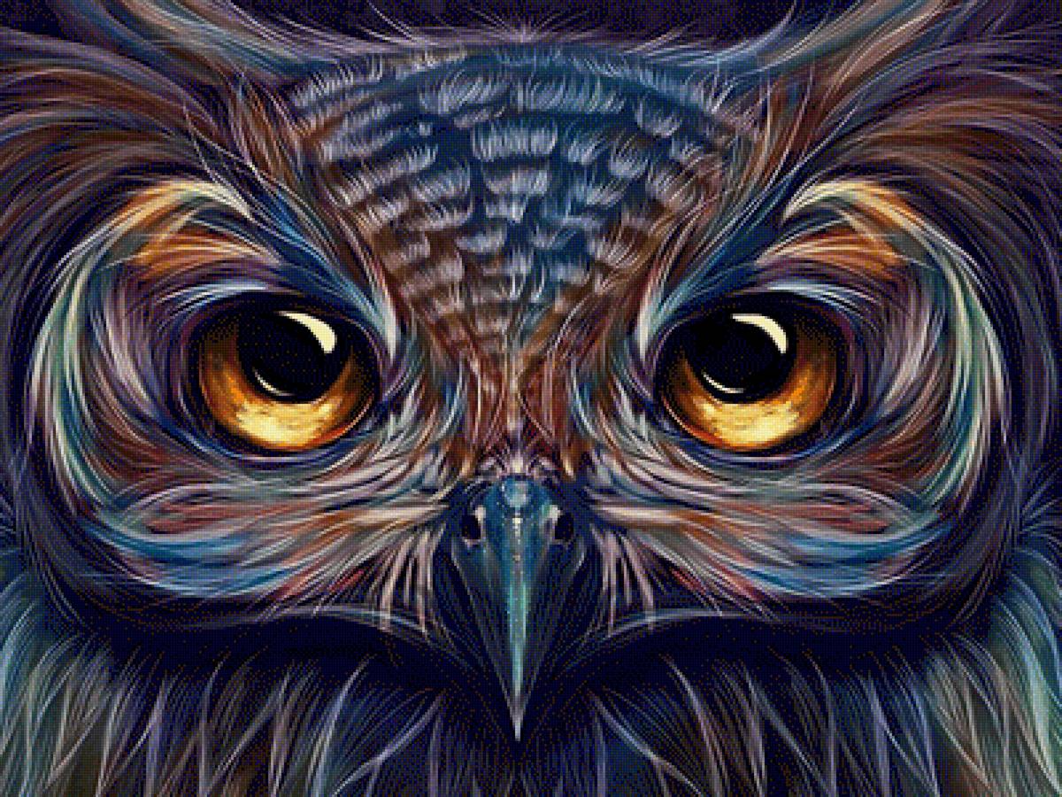 Gufo - animal - предпросмотр