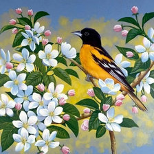 Схема вышивки «Птичка»