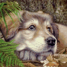 Схема вышивки «Собакен.»