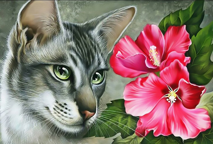 Кот - кот цветок - оригинал