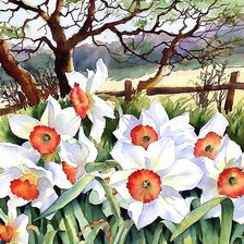 Схема вышивки «акварель»