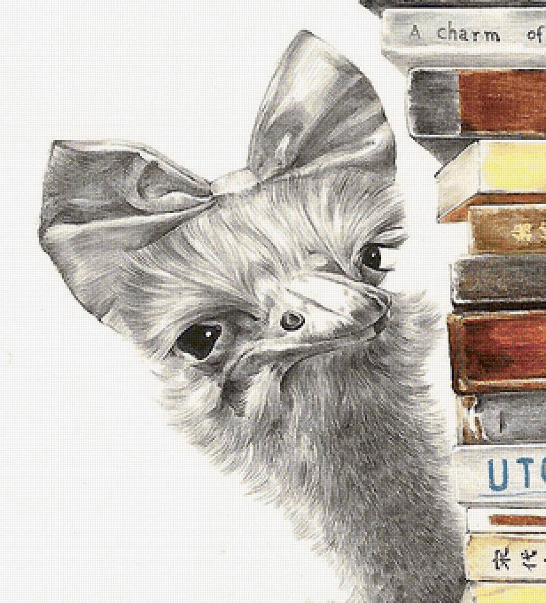 рисунок - предпросмотр